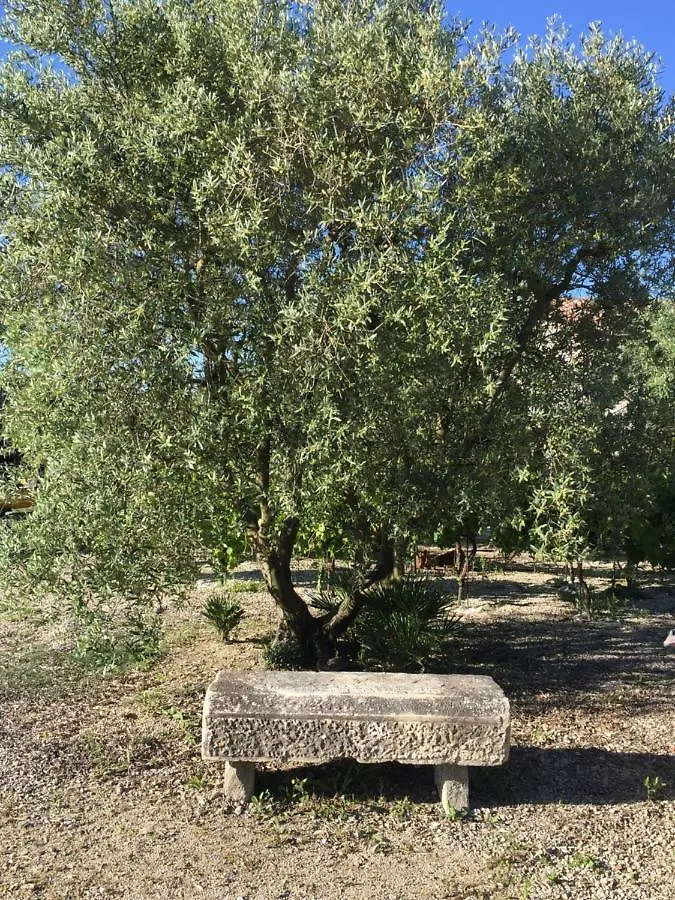 La Maison Des Amis Villa Maillane 0*,