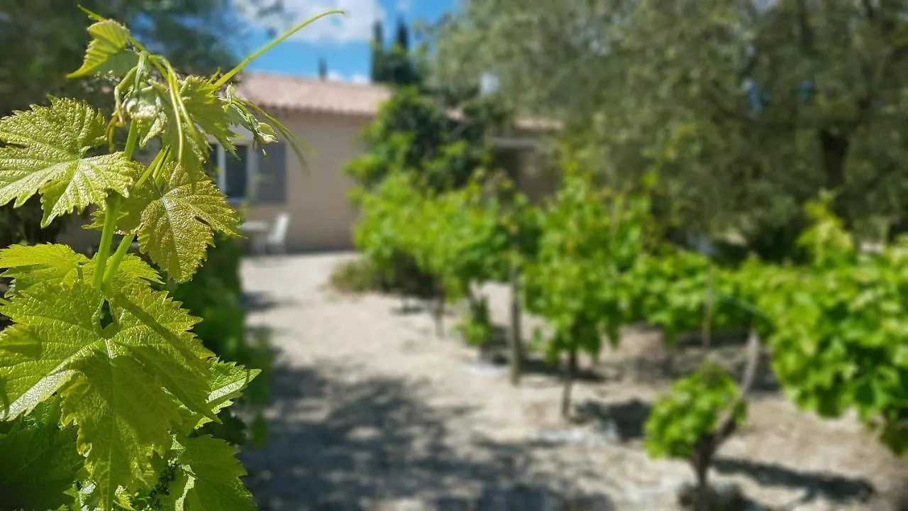 La Maison Des Amis Maillane